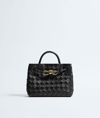 Bottega Veneta Mini Andiamo