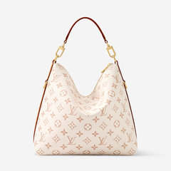 LV Multipass Bag