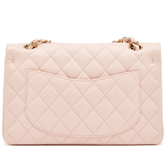 Chanel Small Classic Quilted Double Flap Bag