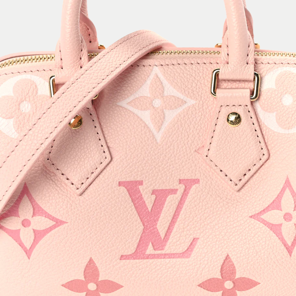 LV Nano Speedy Monogram